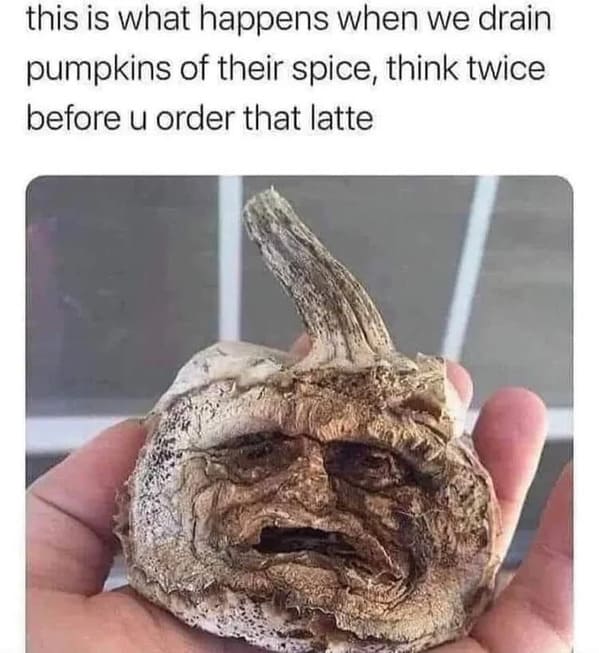 wtf wednesday - dehydrated pumpkin meme - this is what happens when we drain pumpkins of their spice, think twice before u order that latte