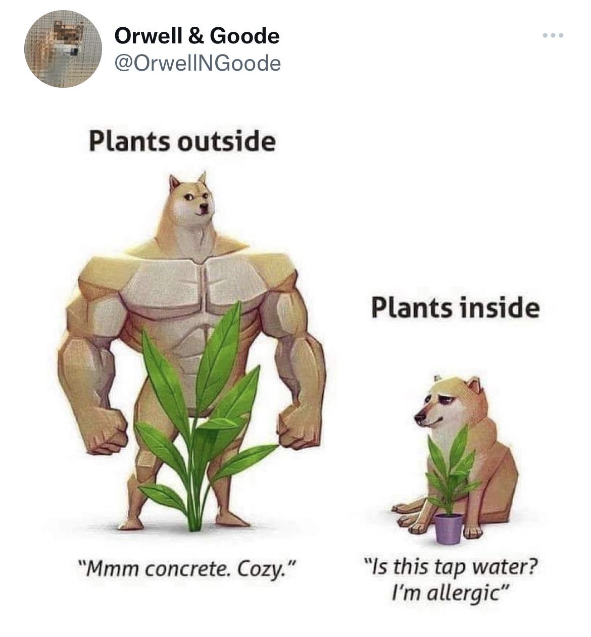 filthy and funny tweet - plants outside plants inside meme - Orwell & Goode Plants outside