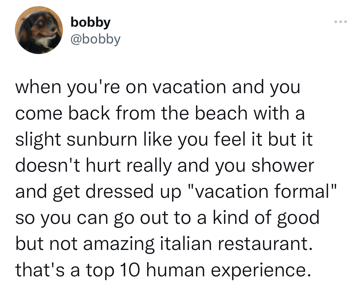 filthy and funny tweet - ann m lesby - bobby when you're on vacation and you come back from the beach with a slight sunburn you feel it but it doesn't hurt really and you shower and get dressed up