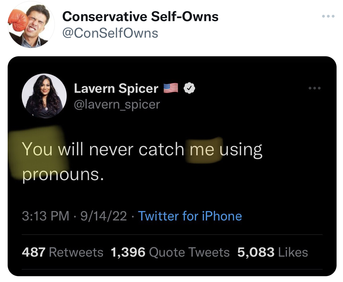 filthy and funny tweet - multimedia - Conservative SelfOwns Lavern Spicer You will never catch me using pronouns. 91422 Twitter for iPhone 487 1,396 Quote Tweets 5,083