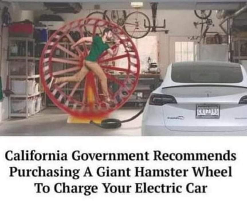 daily dose of randoms - vehicle registration plate - 4 On 5302355 California Government Recommends Purchasing A Giant Hamster Wheel To Charge Your Electric Car
