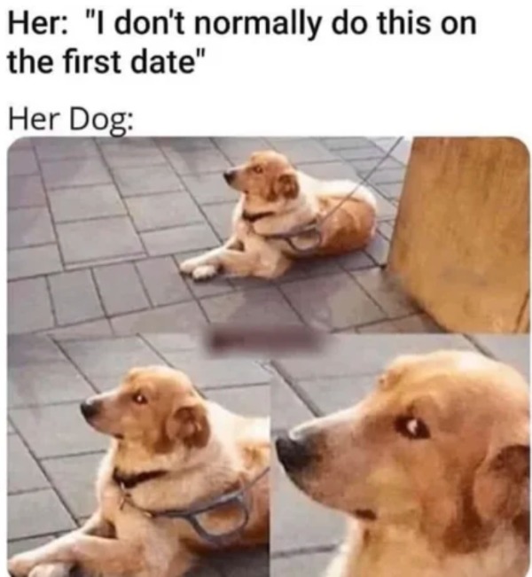 thirsty thursday memes -  dog - Her "I don't normally do this on the first date" Her Dog