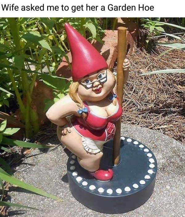 thirsty thursday memes -  funny gnomes - Wife asked me to get her a Garden Hoe