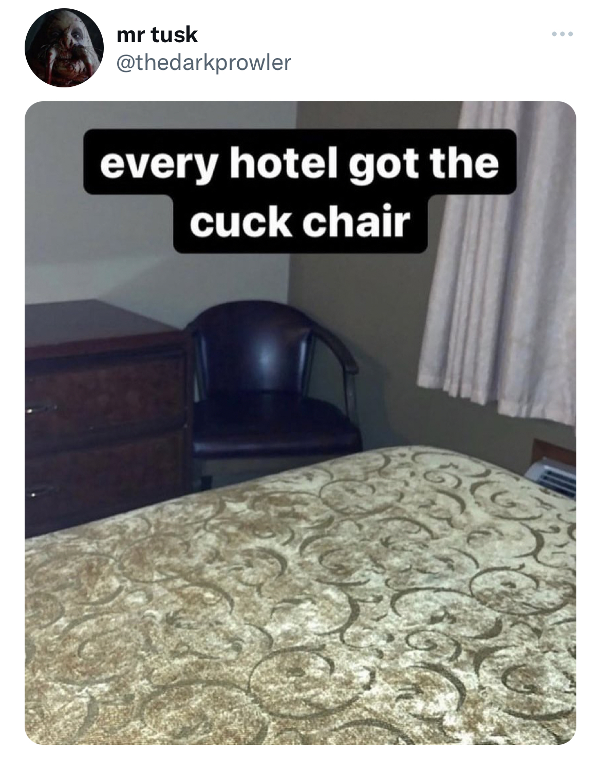 lake umuzi - mr tusk every hotel got the cuck chair