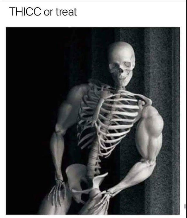 halloween memes - spooky memes - Thicc or treat
