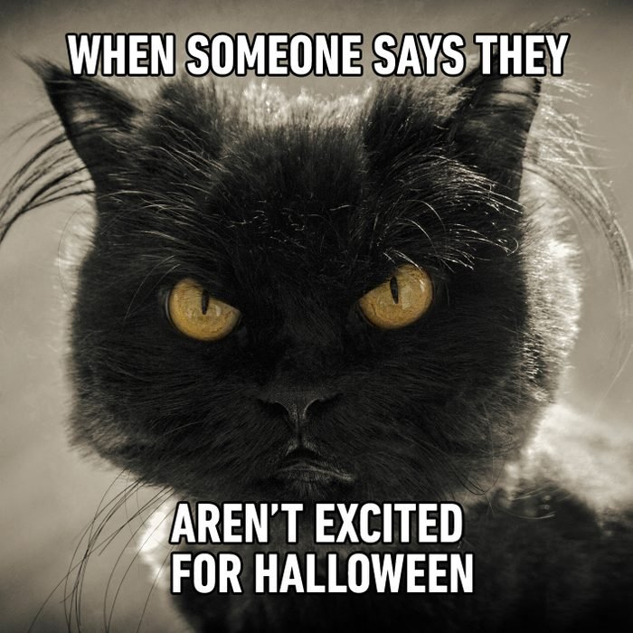 halloween memes - morning meme - When Someone Says They Aren'T Excited For Halloween