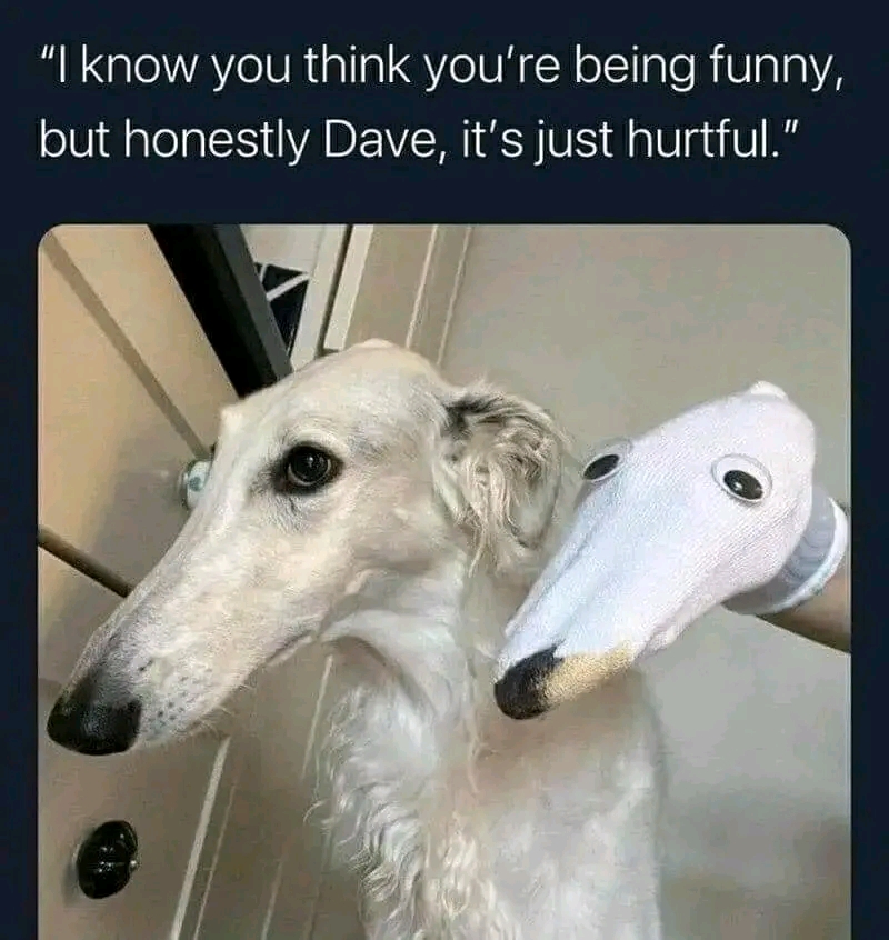 daily dose of randoms - photo caption - "I know you think you're being funny, but honestly Dave, it's just hurtful."
