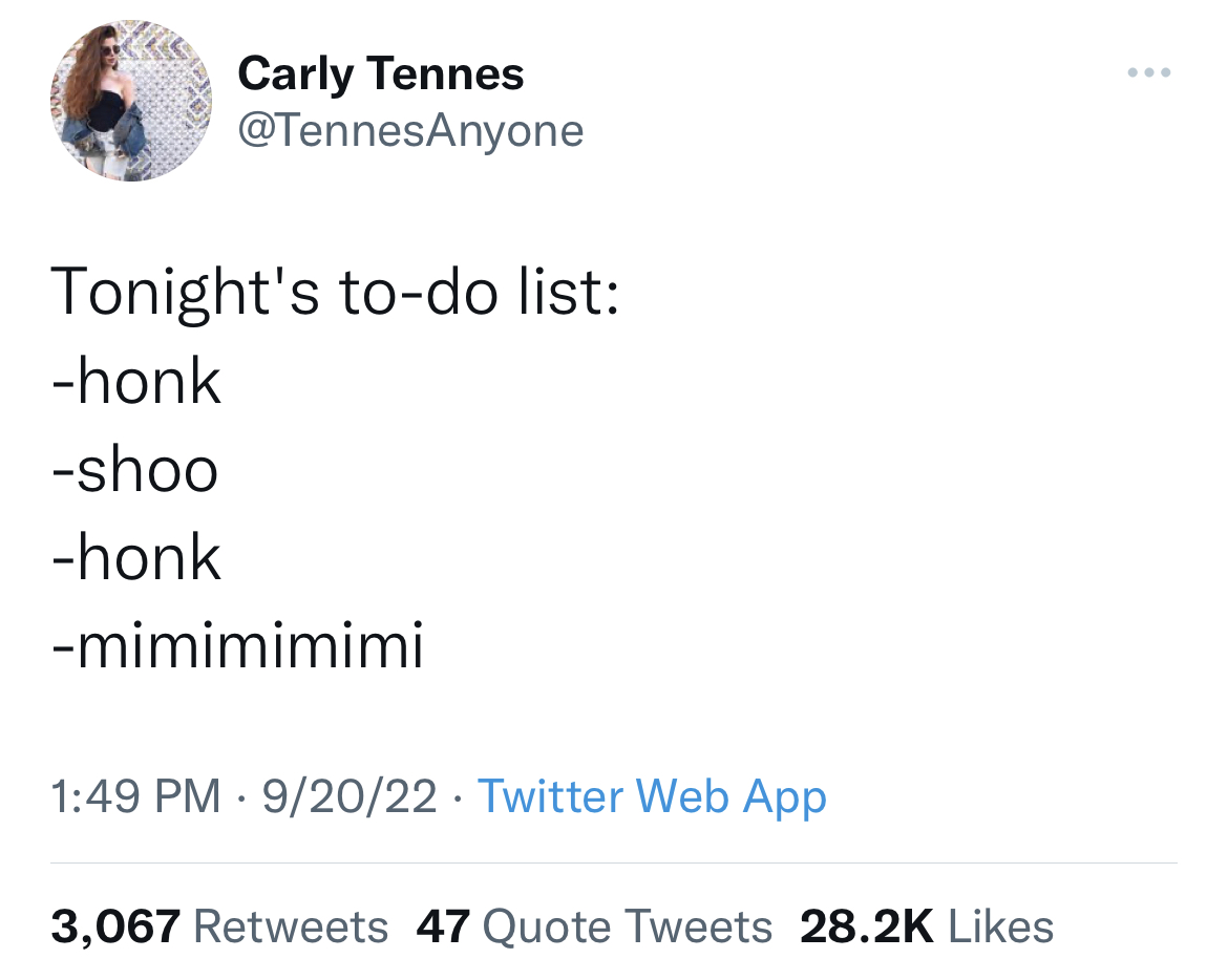 funny quick wit tweets - iron man iron man does whatever an iron can - Carly Tennes Tonight's todo list honk shoo honk mimimimimi 92022 Twitter Web App 3,067 47 Quote Tweets