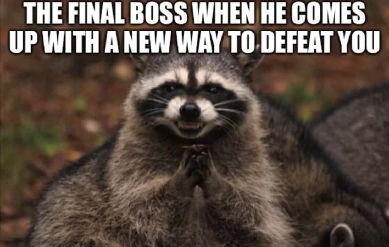 Gaming memes - evil raccoon - The Final Boss When He Comes Up With A New Way To Defeat You