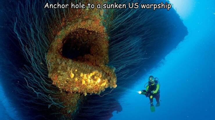 daily dose of randoms -  thalassophobia trigger - Anchor hole to a sunken Us warpship