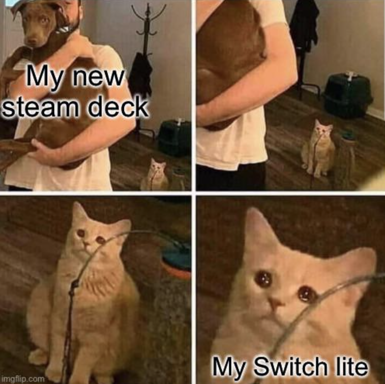 gaming memes - ignored cat meme template - My new steam deck My Switch lite