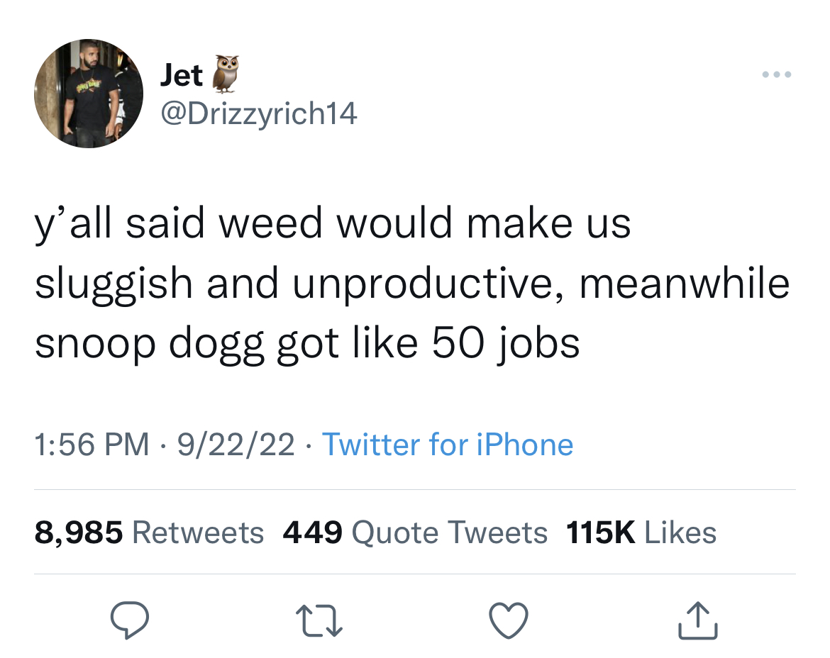 funny tweets - elon musk next i m going to buy - Jet y'all said weed would make us sluggish and unproductive, meanwhile snoop dogg got 50 jobs 92222 Twitter for iPhone 8,985 449 Quote Tweets 27