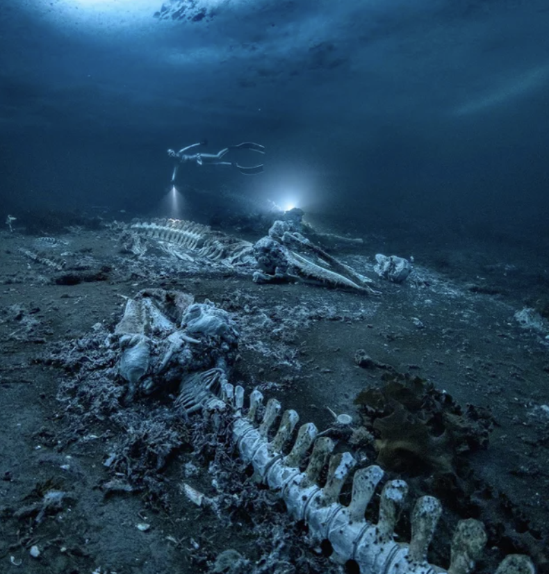creepy ocean and water photos - atmosphere