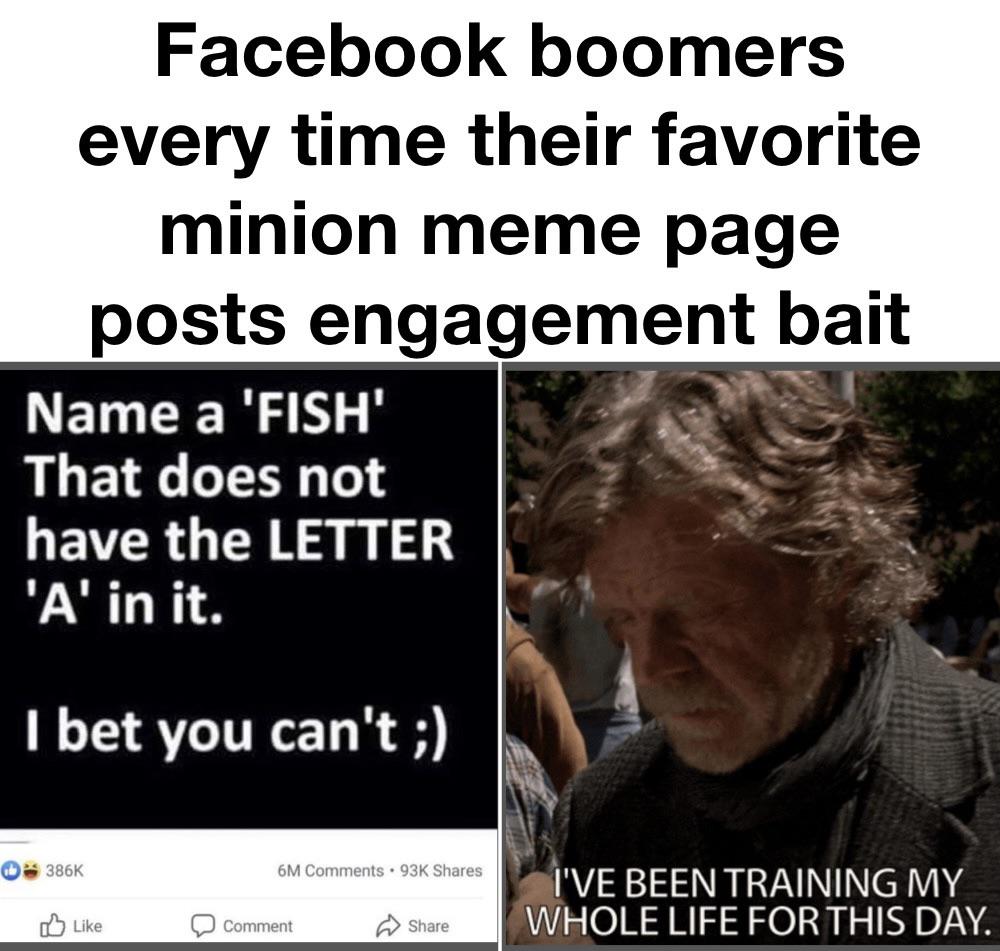 monday morning randomness - photo caption - Facebook boomers every time their favorite minion meme page posts engagement bait Name a 'Fish' That does not have the Letter 'A' in it. I bet you can't ; 6M . 93K Comment I'Ve Been Training My Whole Life For Th