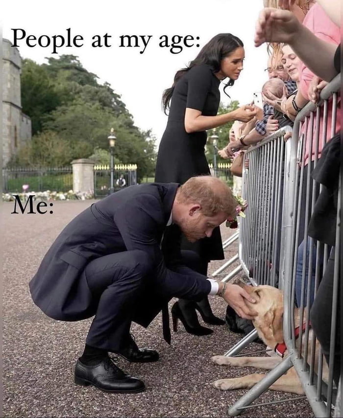 monday morning randomness - prince harry labrador - People at my age Me