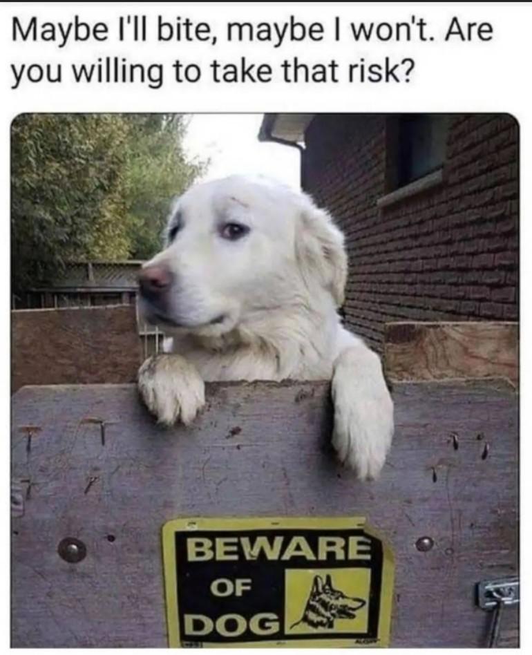 monday morning randomness - dog - Maybe I'll bite, maybe I won't. Are you willing to take that risk? Beware Of Dog