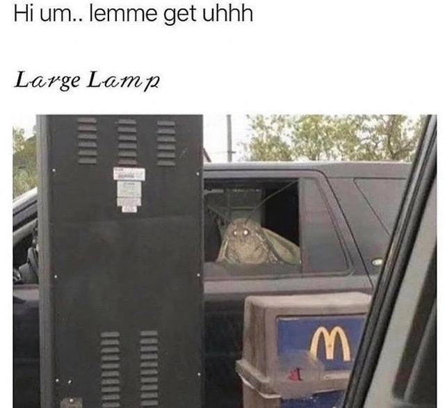 monday morning randomness - moth lamp meme - Hi um.. lemme get uhhh Large Lamp 6A5 M