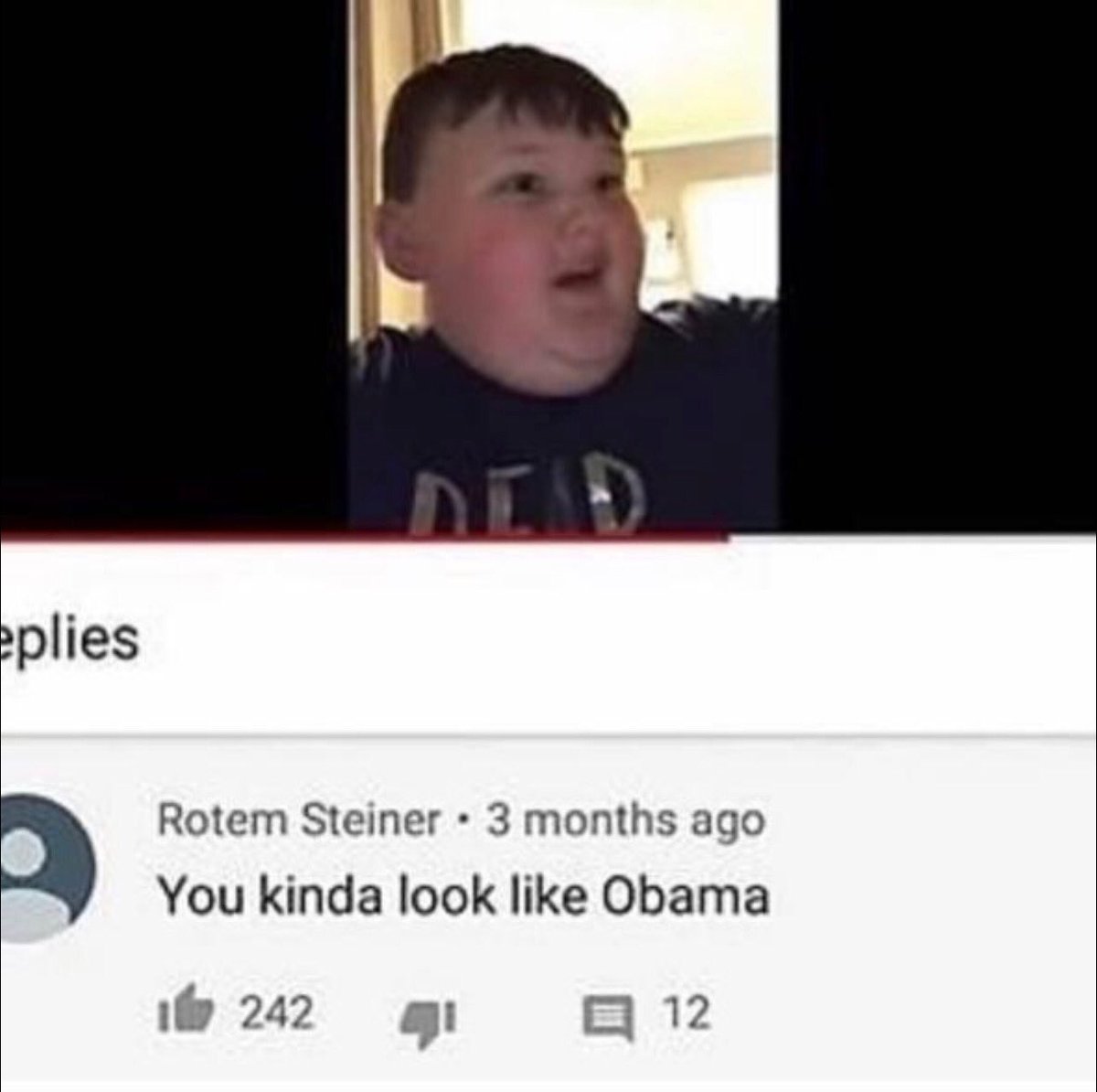 insane youtube comments - he's not wrong tho - eplies Dead Rotem Steiner 3 months ago You kinda look Obama 1242 41 12
