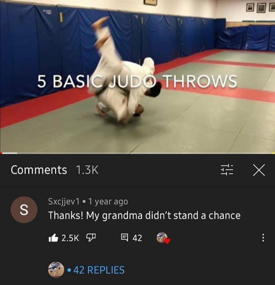 insane youtube comments - indoor games and sports - 5 Basic Judo Throws S # X Sxcjjev1 1 year ago Thanks! My grandma didn't stand a chance. 42 42 Replies