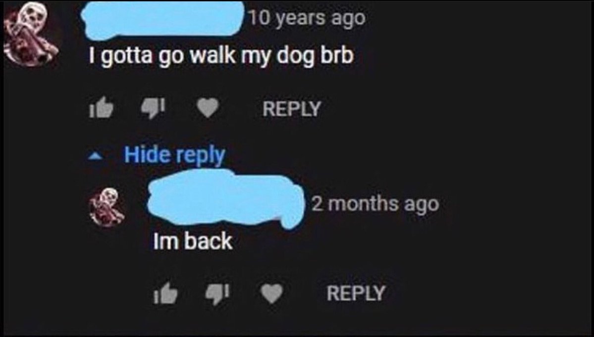 insane youtube comments - multimedia - 10 years ago I gotta go walk my dog brb Hide Im back 2 months ago