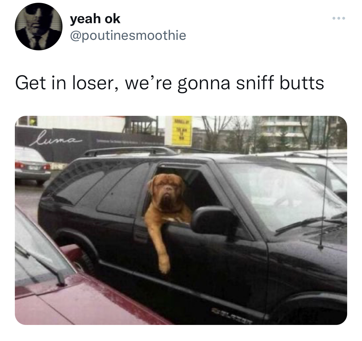 Funny tweets - car like a boss - yeah ok Get in loser, we're gonna sniff butts luma