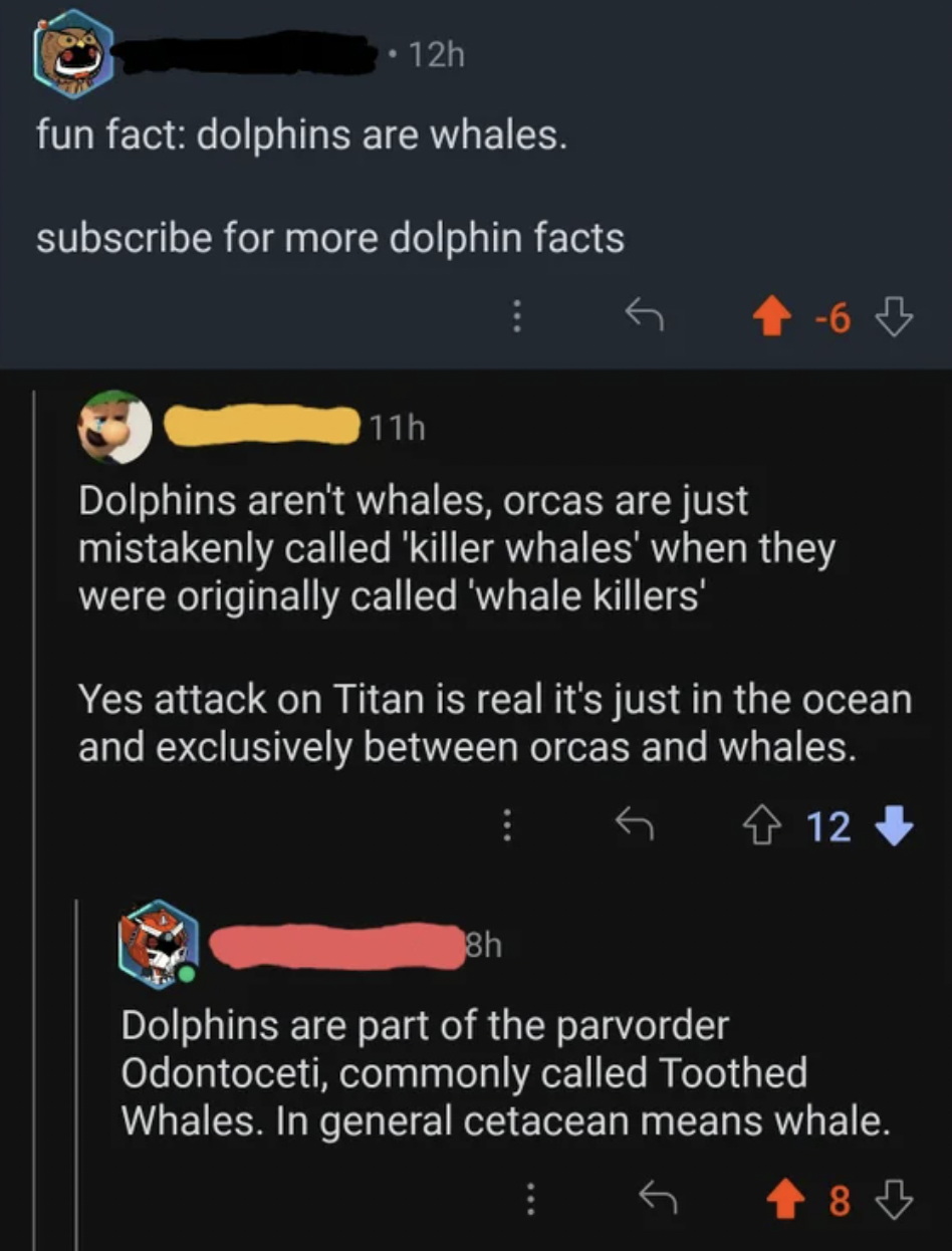Confidently incorrect people - fun fact dolphins are whales. subscribe for more dolphin facts