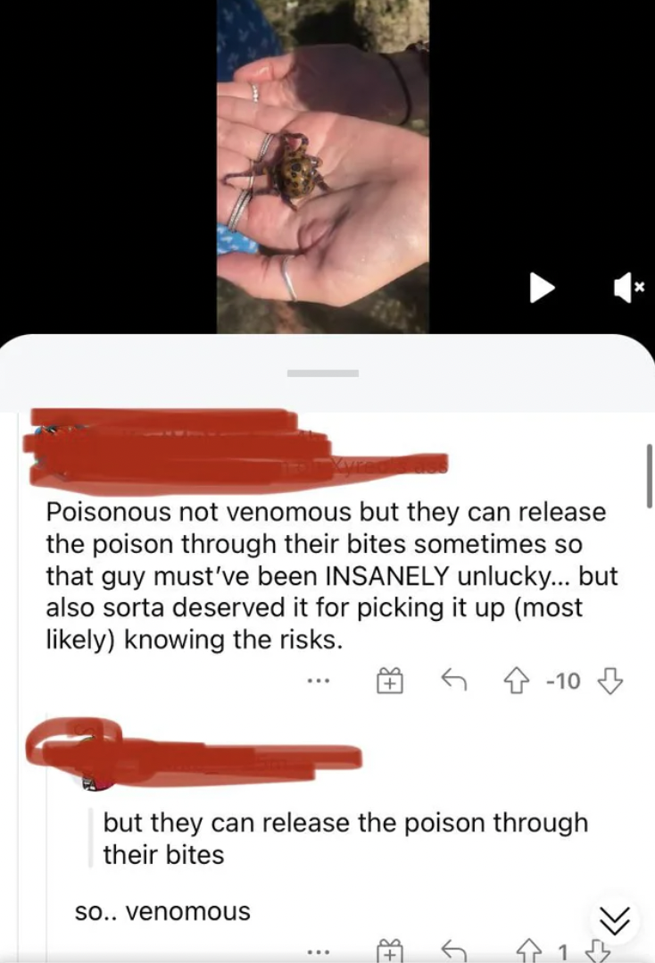 Confidently incorrect people - hand - Poisonous not venomous but they can release the poison through their bites sometimes so that guy must've been Insanely unlucky... but also sorta deserved it for picking it up most ly knowing the risks.  but they can r