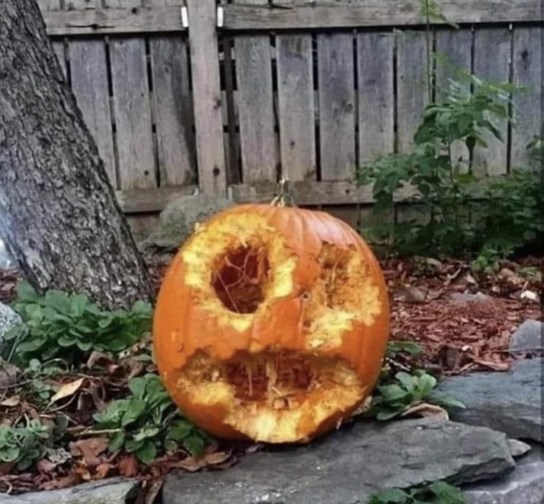 This person poked a few holes in their pumpkin, added peanut butter, then placed it outside and the squirrels did the rest. Nightmare fuel.