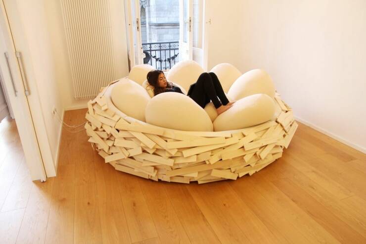 cool pics and memes - bird nest couch