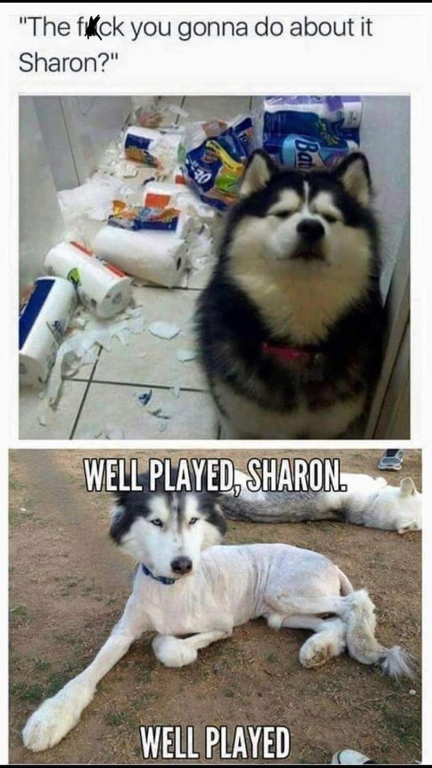 cool pics and memes - bad dog memes - "The fick you gonna do about it Sharon?" Bat Well Played, Sharon. Well Played