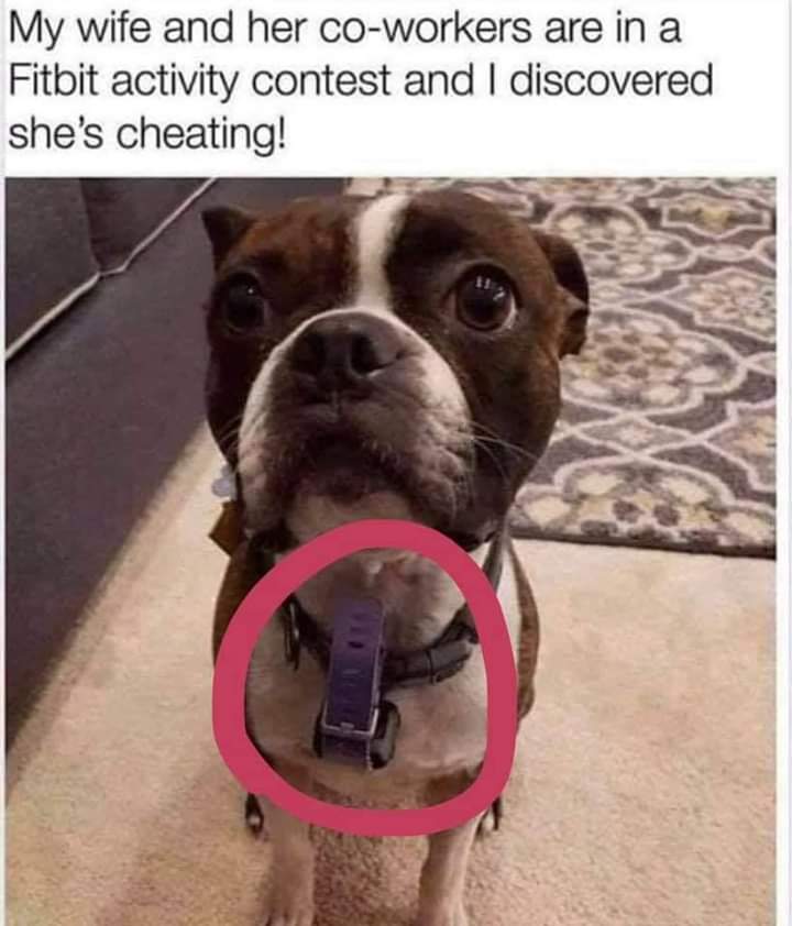 cool pics and memes - fitbit meme - My wife and her coworkers are in a Fitbit activity contest and I discovered she's cheating!