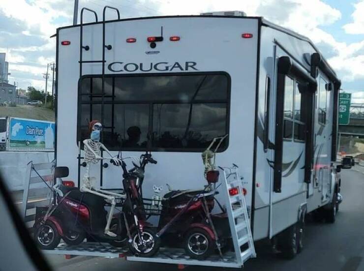 daily dose of pics - recreational vehicle - Dain Pure 0 Cougar