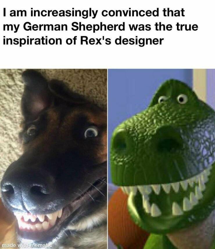 daily dose of pics - fauna - I am increasingly convinced that my German Shepherd was the true inspiration of Rex's designer made with mematic C