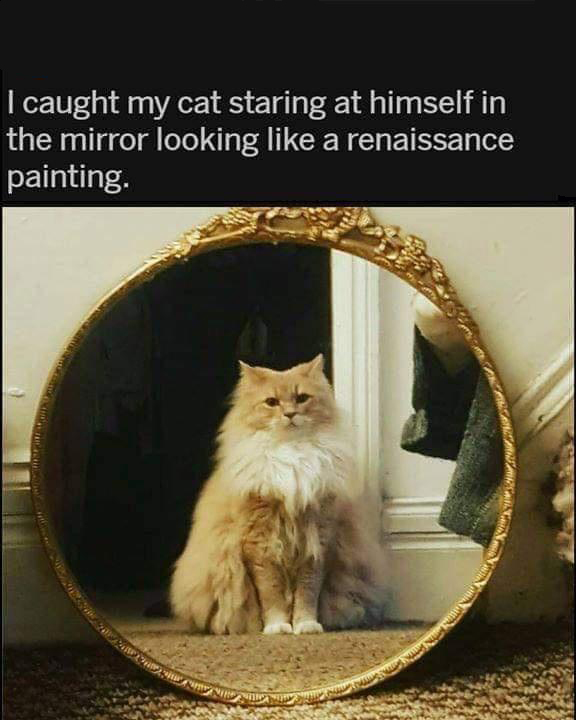 monday morning randomness - cat looking in mirror meme - I caught my cat staring at himself in the mirror looking a renaissance painting. Mese Die Alguns ww www