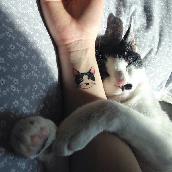 monday morning randomness - pet cat tattoo - 10 date