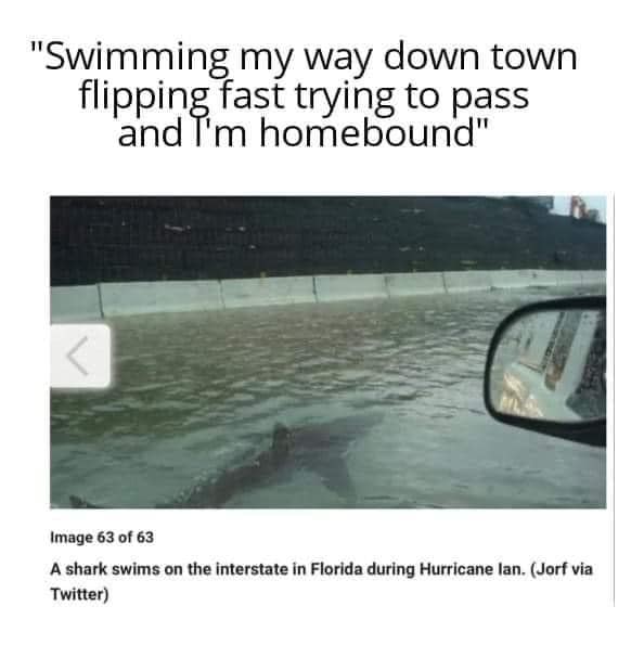 funny memes and pics - shark in street puerto rico - my way down town flipping fast trying to pass and I'm homebound" "Swimming Image 63 of 63 A shark swims on the interstate in Florida during Hurricane lan. Jorf via Twitter