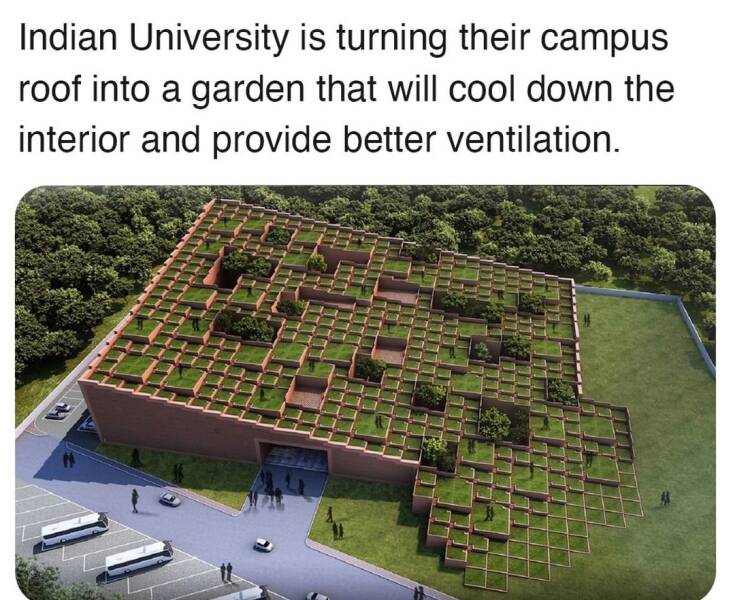 daily dose of randoms - prestige university builing - Indian University is turning their campus roof into a garden that will cool down the interior and provide better ventilation.