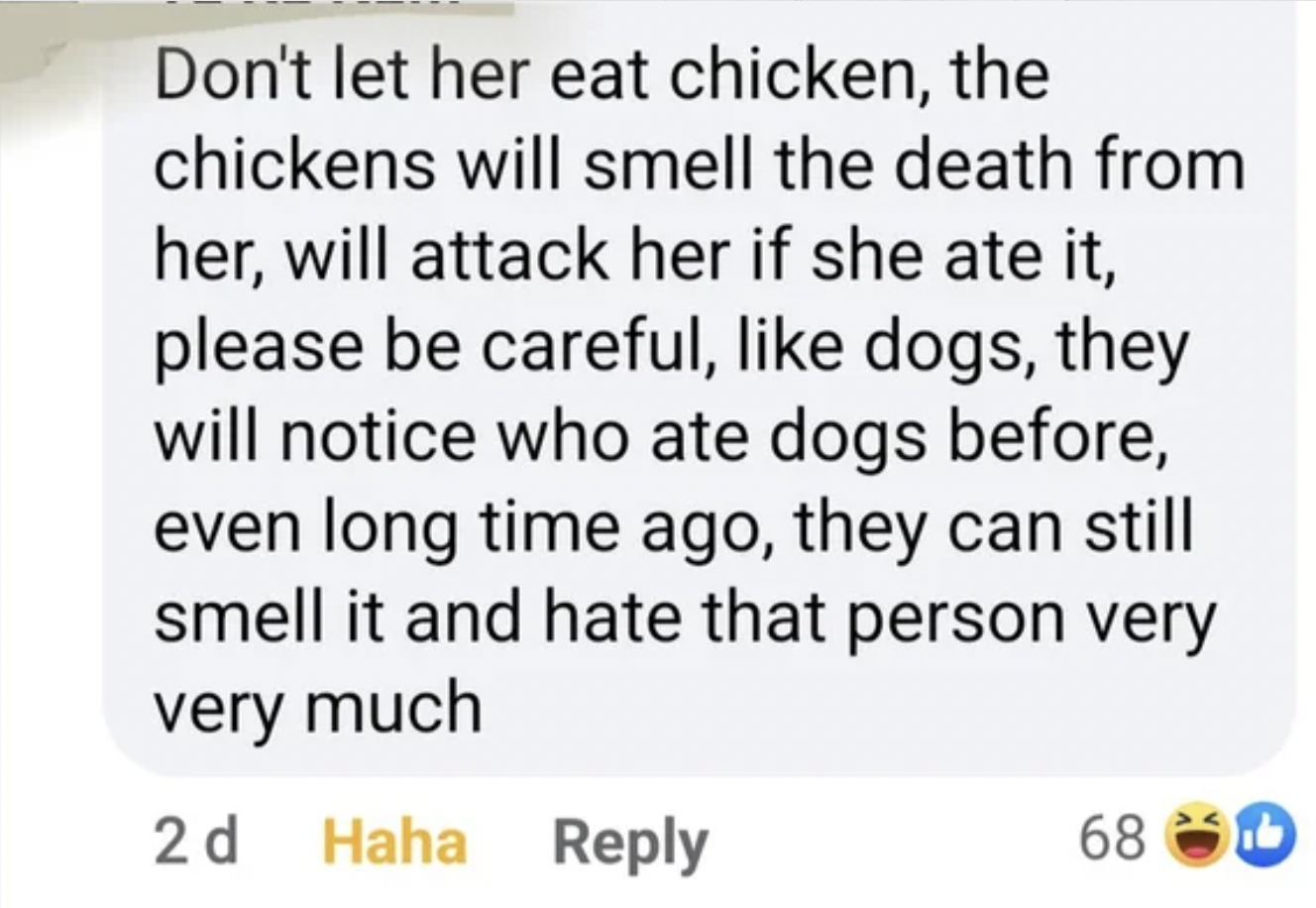 Insane People of Facebook - paper - Don't let her eat chicken, the chickens will smell the death from her, will attack her if she ate it, please be careful, dogs, they will notice who ate dogs before, even long time ago, they can still smell it and hate t