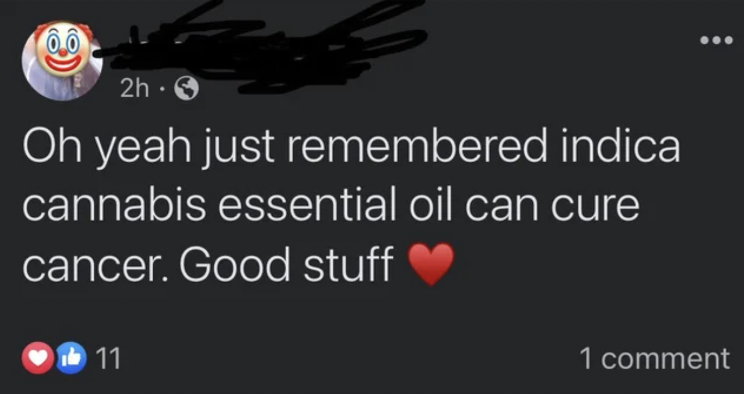 Insane People of Facebook - Oh yeah just remembered indica cannabis essential oil can cure cancer.