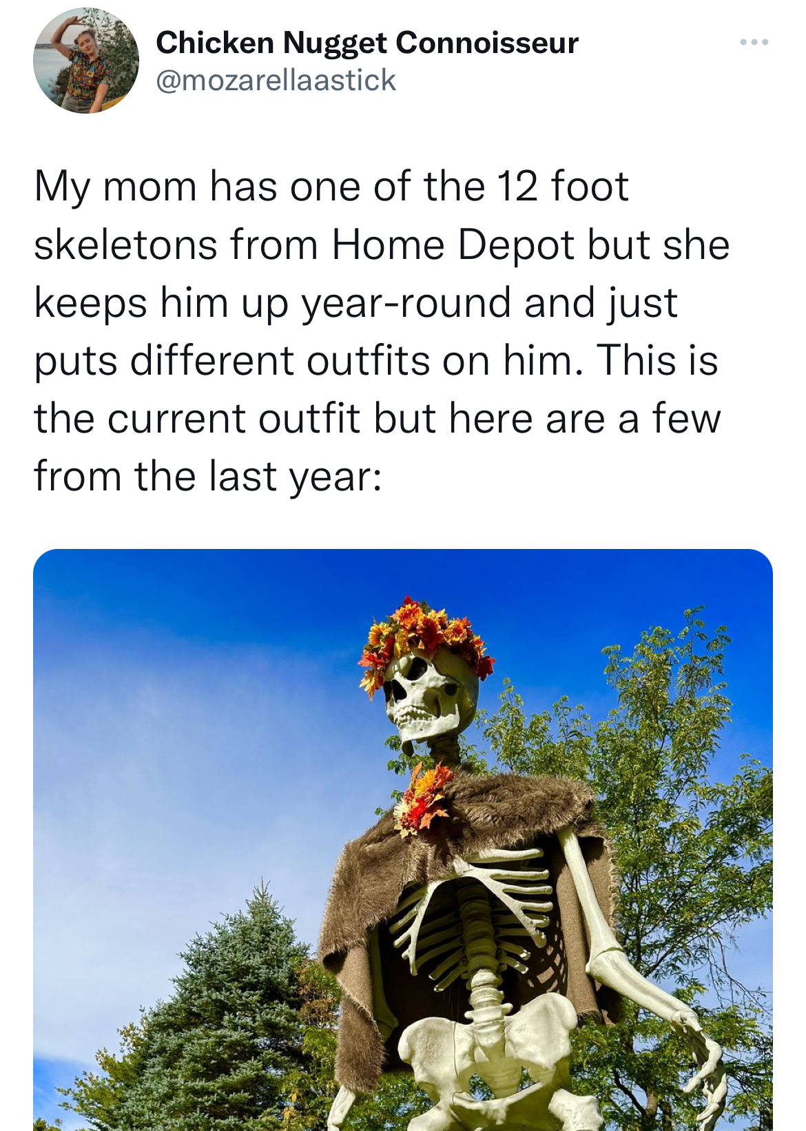 Savage and funny tweets - tree - Chicken Nugget Connoisseur My mom has one of the 12 foot skeletons from Home Depot but she keeps him up yearround and just puts different outfits on him. This is the current outfit but here are a few from the last year
