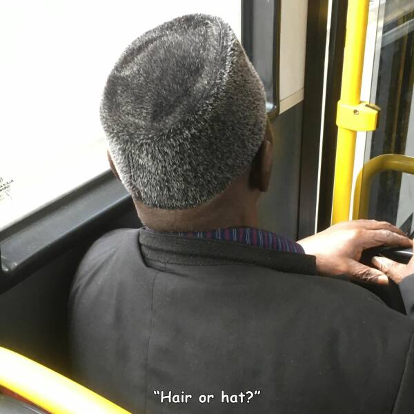 daily dose of randoms - funny confusing perspective - Yra "Hair or hat?"