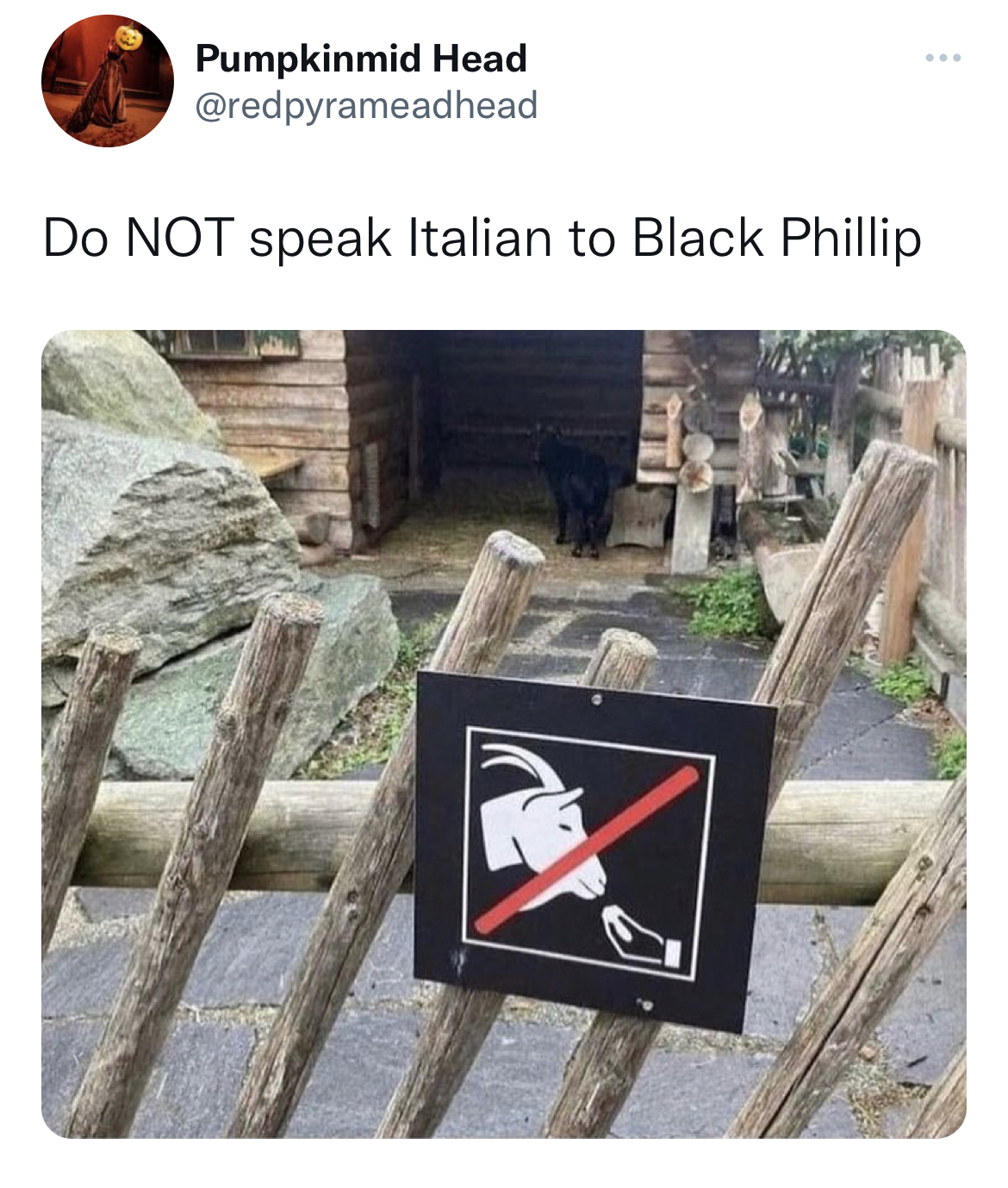 savage and funny tweets - please don t speak italian to the goat - Pumpkinmid Head Do Not speak Italian to Black Phillip