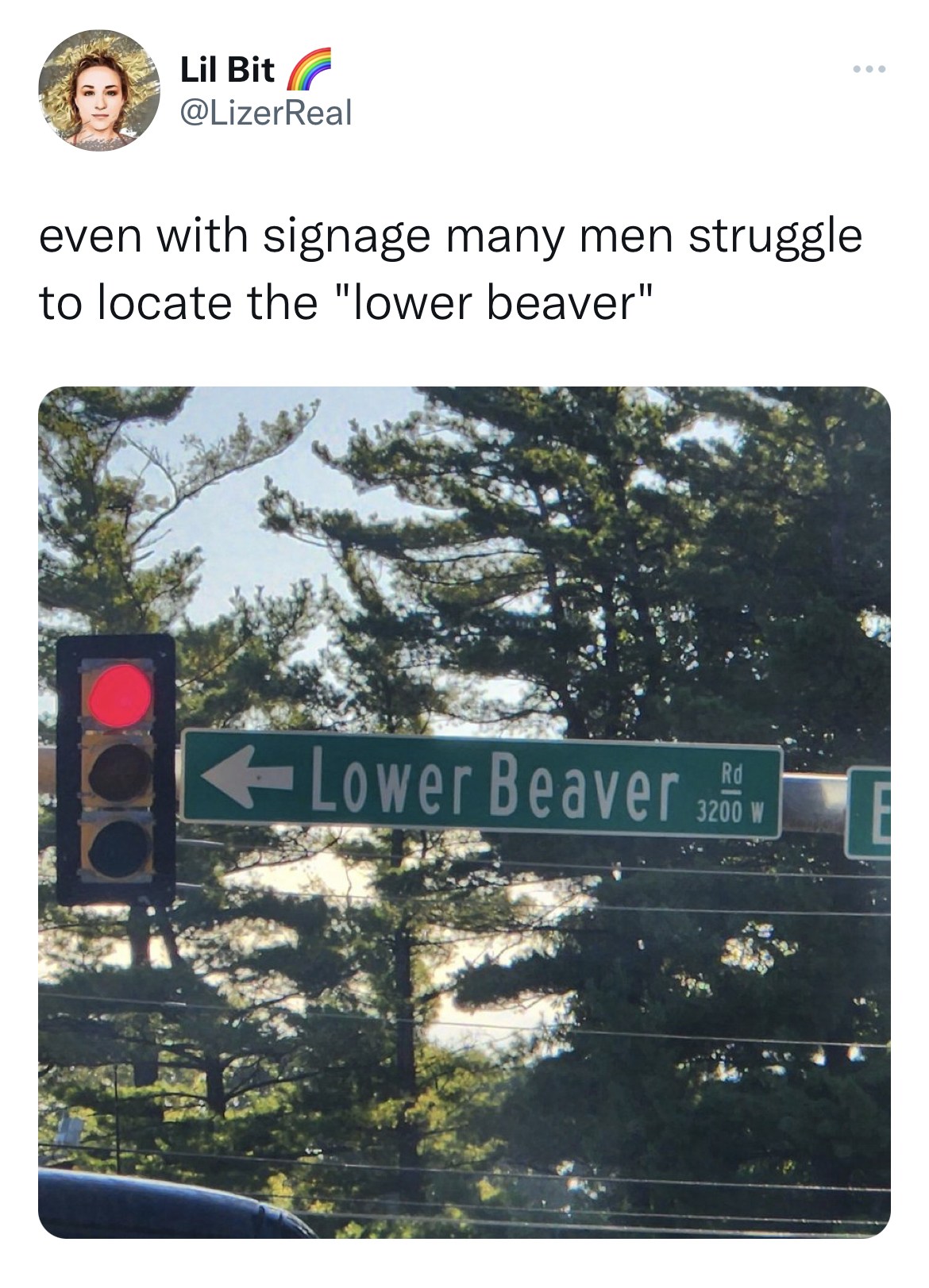 savage and funny tweets - tree - Lil Bit even with signage many men struggle to locate the "lower beaver" Lower Beaver 3200 W