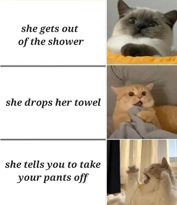 thirsty thursday spicy memes - Memedroid - she gets out of the shower she drops her towel she tells you to take your pants off
