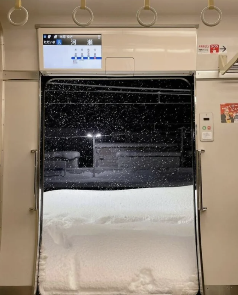 What are you doing if you open the train door and see this?