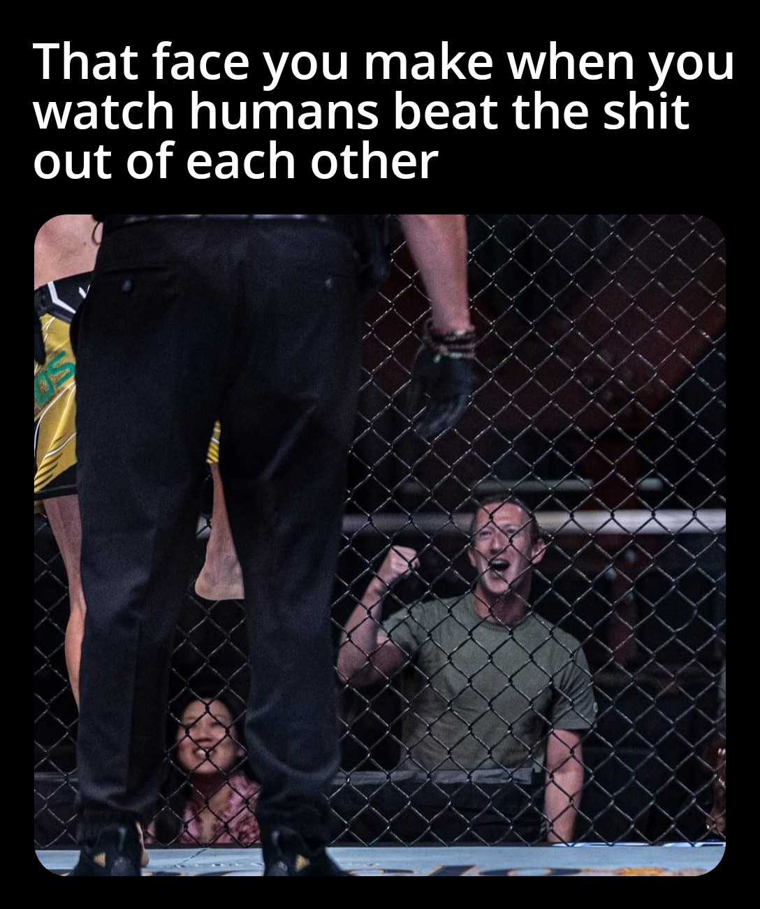 monday morning randomness - Mark Zuckerberg - That face you make when you watch humans beat the shit out of each other