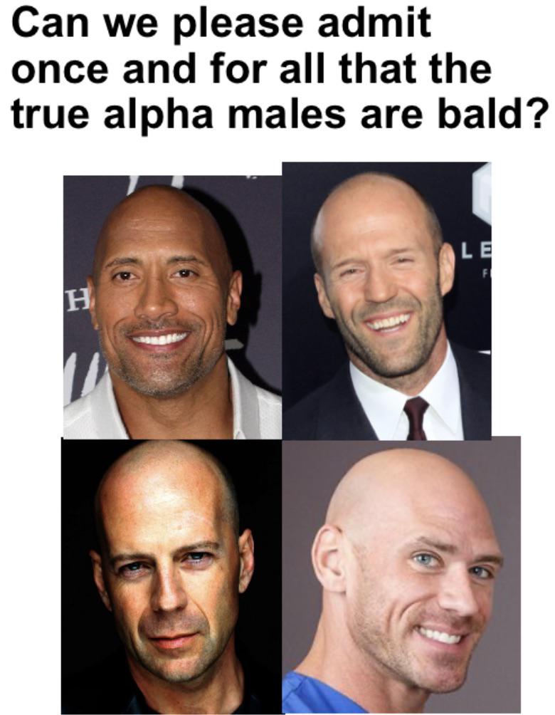 monday morning randomness - man - Can we please admit once and for all that the true alpha males are bald? H Le Fi