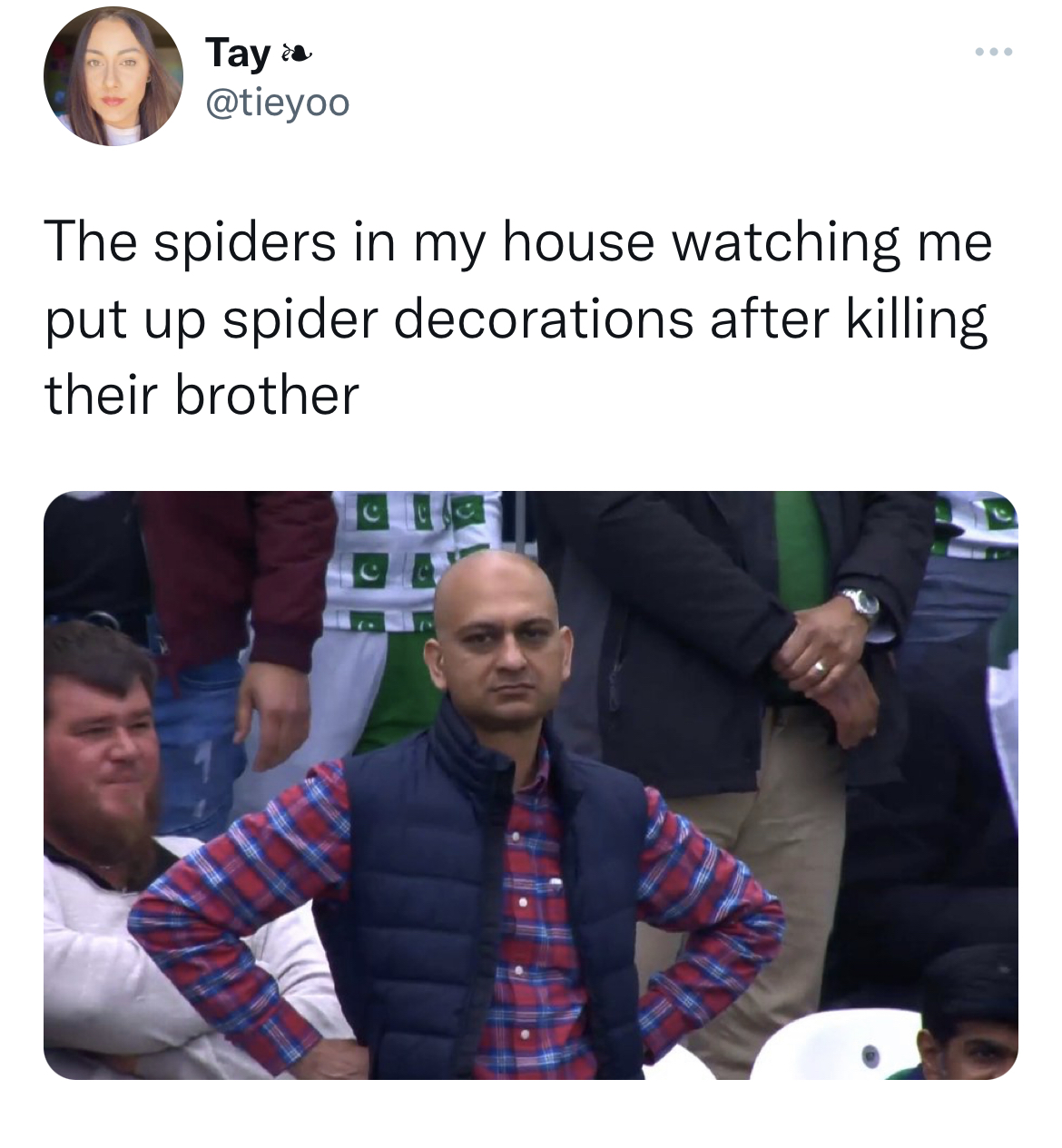 Savage Tweets - cricket meme - Tay The spiders in my house watching put up spider decorations after killing their brother