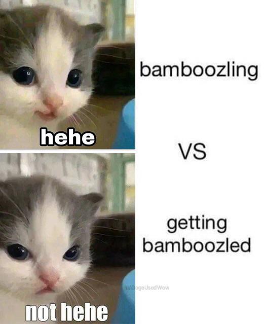 funny memes and pics - bamboozling vs getting bamboozled - hehe not hehe bamboozling Vs getting bamboozled wbogeUsed Wow