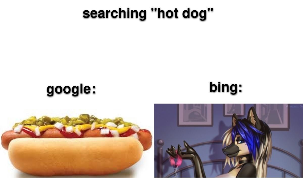 funny memes and pics - hot dog google vs bing - searching "hot dog" google bing Av